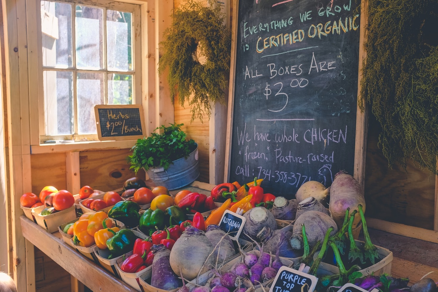 Why Community-Based Food Systems Matter Today